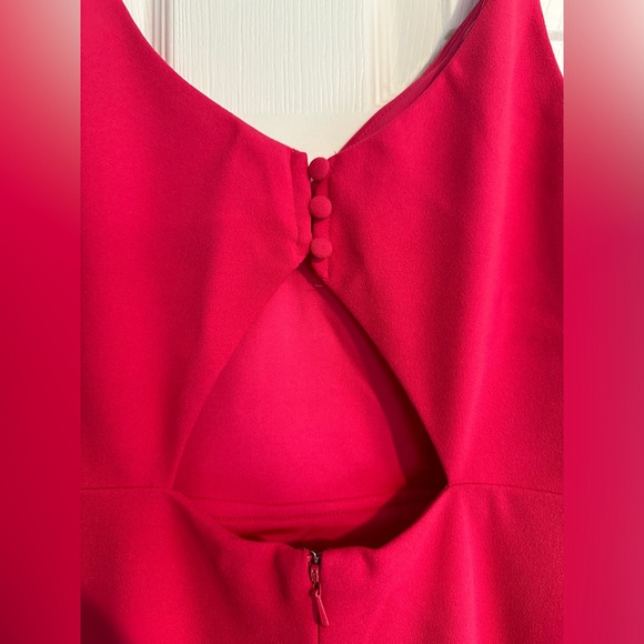 Pink Lulus Dress! - Picture 3 of 4